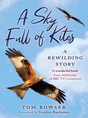 cover image of A Sky Full of Kites